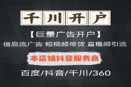 成功运用SEM技术提升网站流量的案例研究